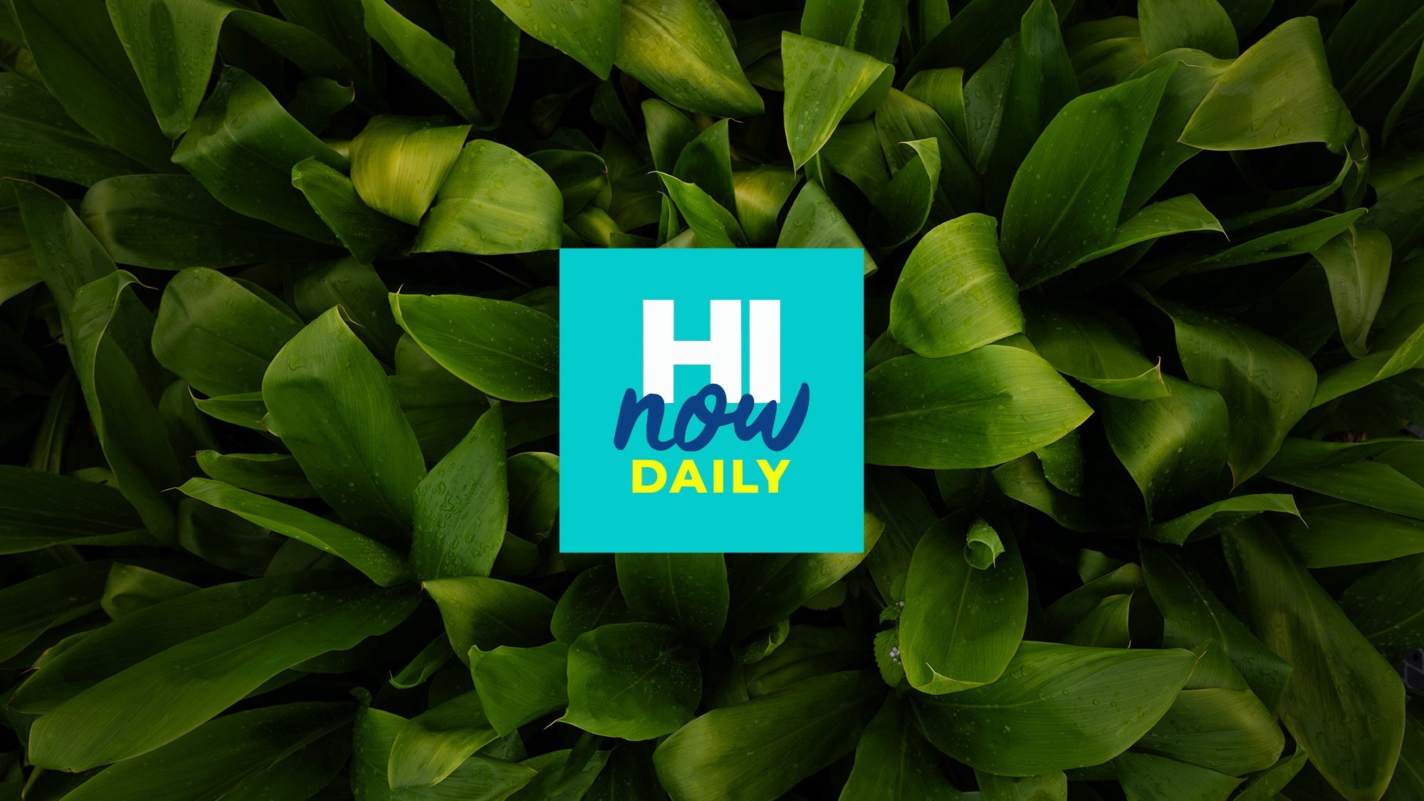HI Now Showcases Historic Opening of Ola's ʻŌkolehao Distillery